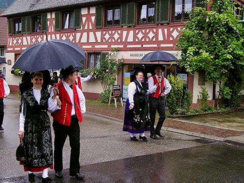 La For�t Noire (Allemagne)