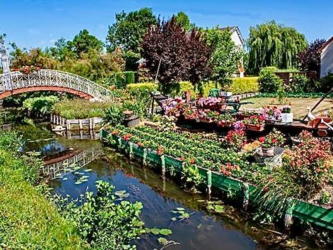 Amiens : Cathdrale, vieux quartiers, Hortillonnages